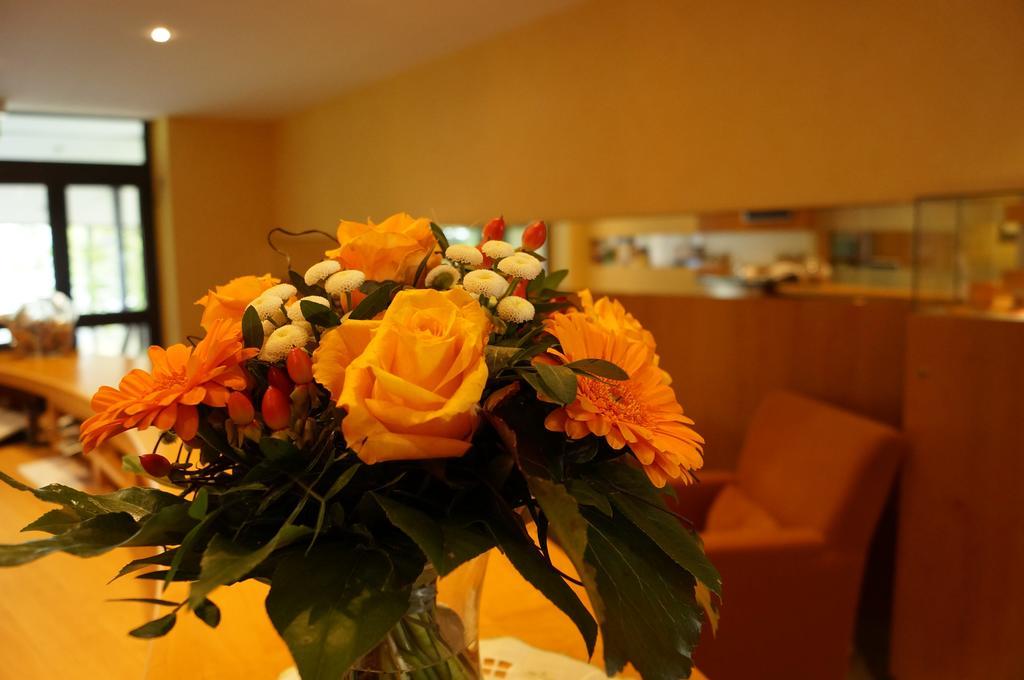 Hotel An Der Ilse Лемго Екстериор снимка